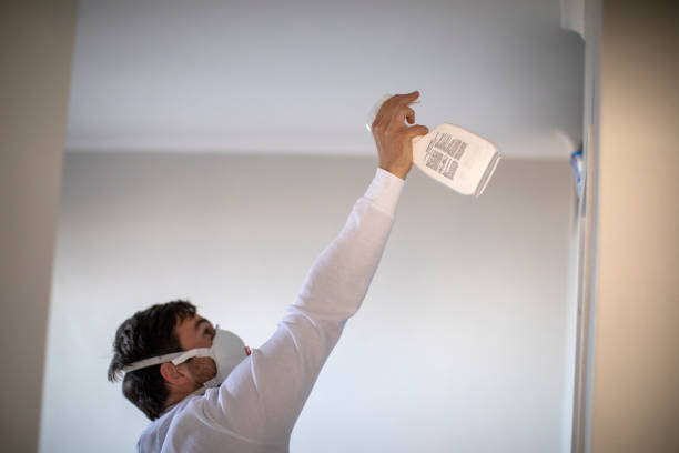 Best Post-Flood Mold Remediation in Ranchester, WY