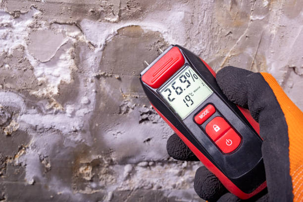 Best Black Mold Remediation in Ranchester, WY