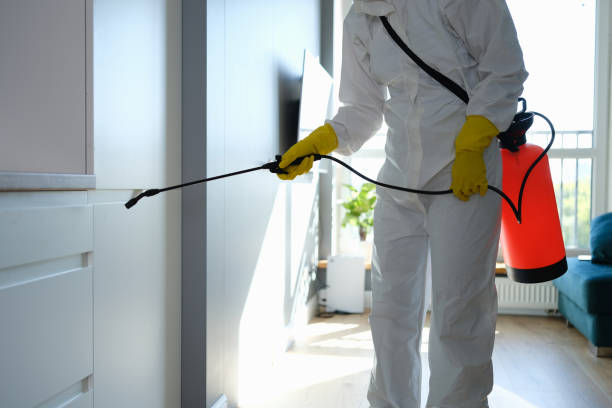 Best Health and Safety Mold Remediation in Ranchester, WY